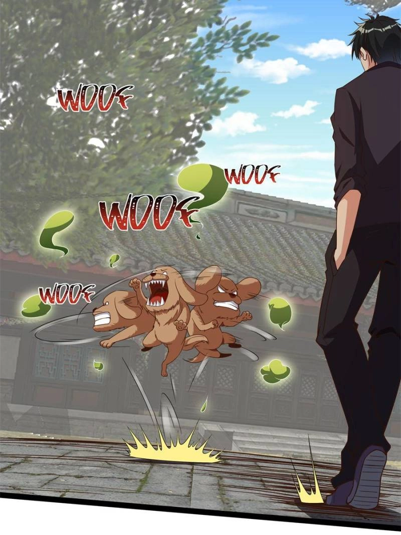 Rebirth: City Deity Chapter 311 - Page 37