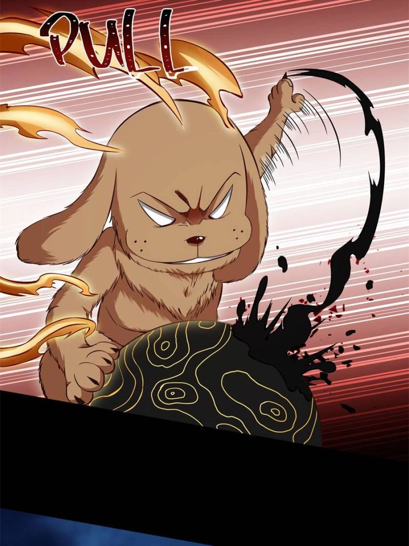 Rebirth: City Deity Chapter 313 - Page 17