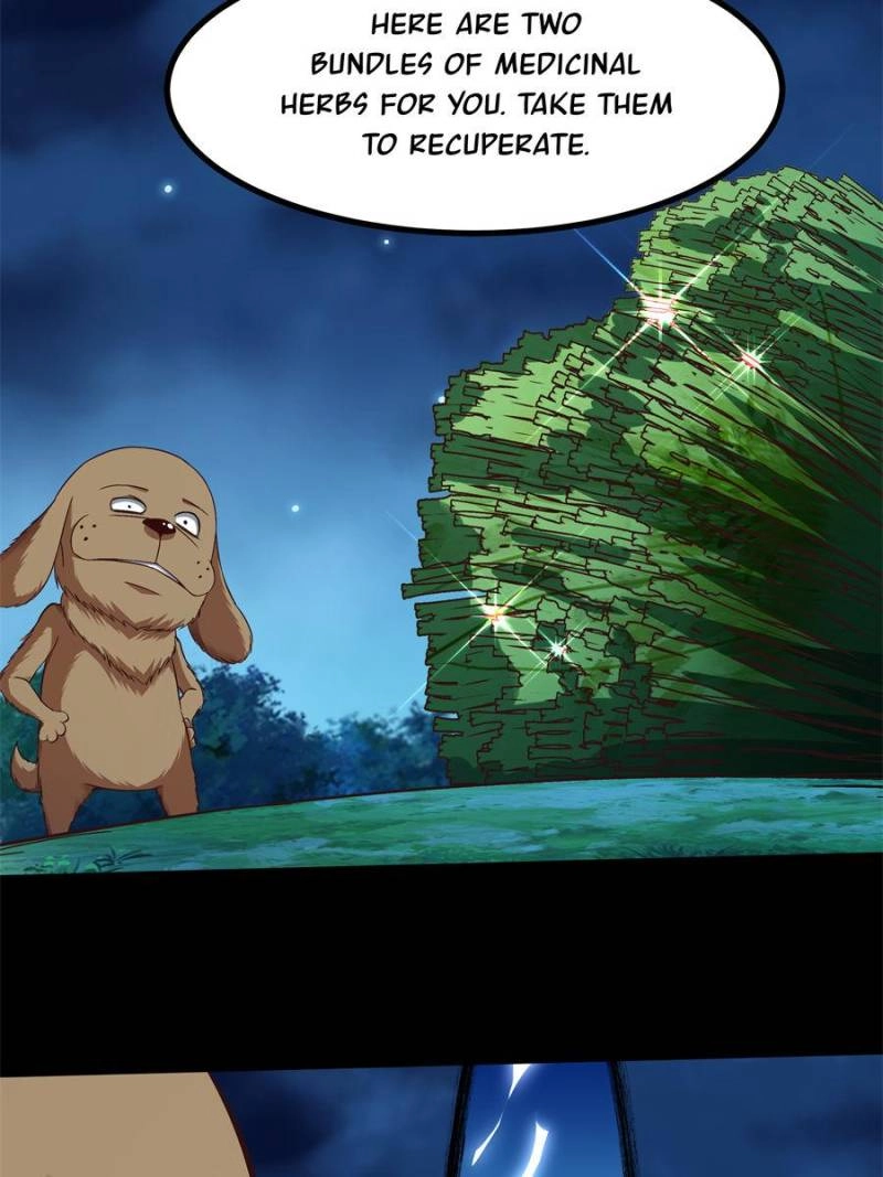 Rebirth: City Deity Chapter 313 - Page 23